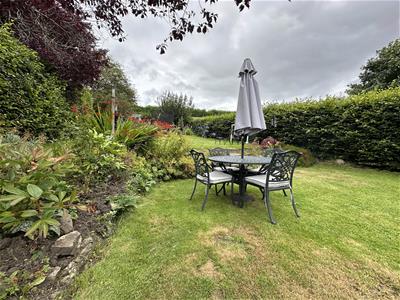 Picture 25